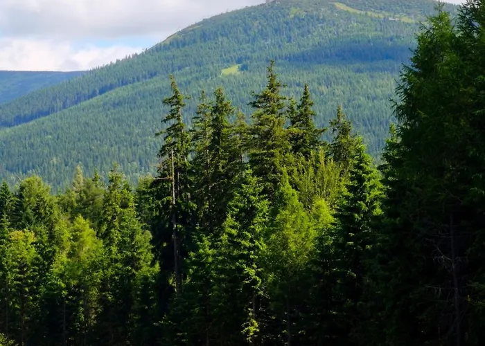 公寓 Jelonek 斯克拉斯卡波伦巴