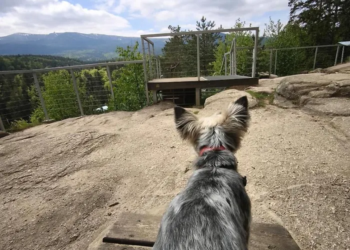 Jelonek 斯克拉斯卡波伦巴