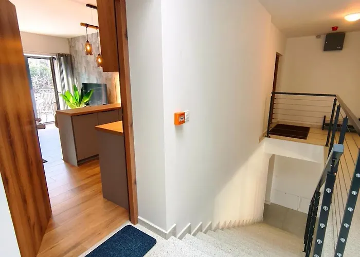 Jelonek 斯克拉斯卡波伦巴