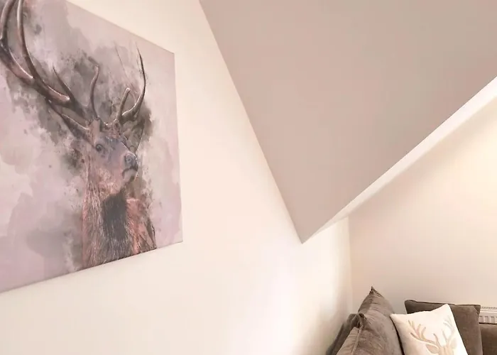 Jelonek * 斯克拉斯卡波伦巴